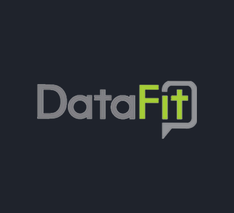 datafit.ai - metaiverse.info